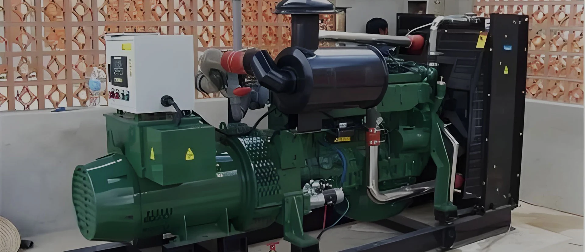 Biogasgenerator